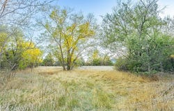 19861 Barnes Cir, CO 80751