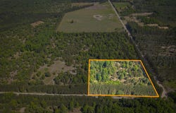 Parcel B Makinen Road, Kaleva, MI 49645