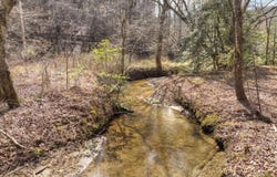 5 Ac Pack Creek Road, Blue Ridge, GA 30513