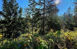 1530 Dusty Ln, St. Maries, ID 83861