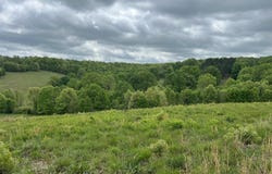 County Road 321, Ava, MO 65608