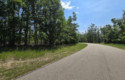 Mt. Vernon Hills Road lot: #33, Vanderbilt, MI 49795