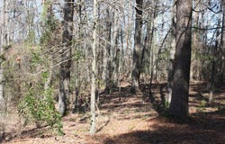 Fox Run, Nashville, AR 71852