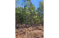 2567 Gees Mill Road NE, Conyers, GA 30013