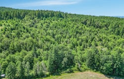Gooseneck RD, Sheridan, OR 97378