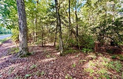 3.5 AC Mill Creek Road, Wake, VA 23176