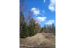 Lot 31 SHADY KNOLL RD, Fifield, WI 54552