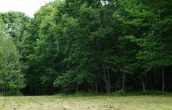 0 Lesperance Road, Albion, ME 04901
