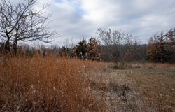 4782 Mounds Park Road, Blue Mounds, WI 53517