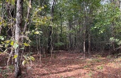 Tbd Bloomville Road, Manning, SC 29102