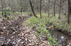 1100 Marriott Road, Pocahontas, AR 72455