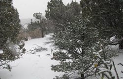 2-A Jack Rabbit Run, Tijeras, NM 87059