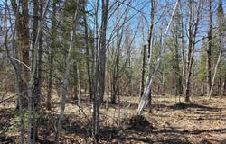xxx Stark Rd, Cloquet, MN 55720