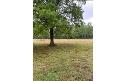 56520 1074 Highway, Bogalusa, LA 70427