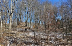 Sunset Avenue, Honesdale, PA 18431