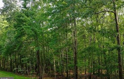5860 SHADY SIDE ROAD, CHURCHTON, MD 20733