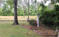Lumberton, NC 28358