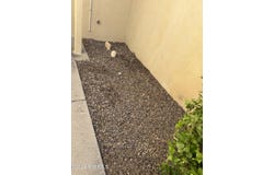 3870 Thurston Court, Las Cruces, NM 88012