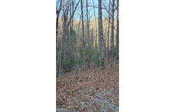 0 Eagle Eye, Tiger, GA 30576