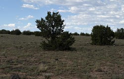59sw Rocky Rabbit Road, Ash Fork, AZ 86320