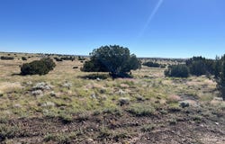 079A-079B Circle Drive, Concho, AZ 85924