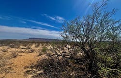 NC 261 Romero Rd, Terlingua, TX 79852