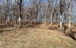 Three Creek Road, Preston, MO 65732