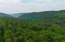 WP0  Benton Hollow Rd., Livingston Manor, NY 12758