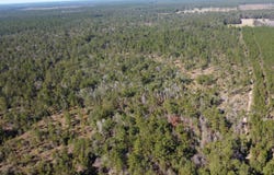 TBD  Joe Lorenz Rd, Singer, LA 70660