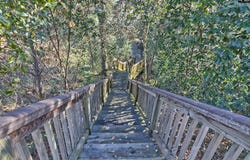 116 Mayhaw Drive, Columbia, SC 29206-1375