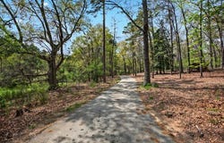 2916 Rambling Path, Anderson, SC 29621
