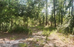 2407 Mary Esther Lane, Perry, FL 32348
