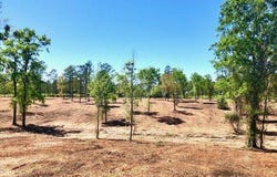 0 7th Street, Bay Minette, AL 36507