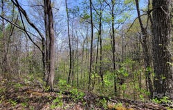 26 Lacy Fern Ridge, Sylva, NC 28779