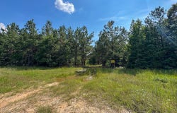 Ferguson Road, Coushatta, LA 71019