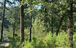 273 Hodges Bay Drive, Aiken, SC 29803