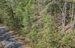 6 Fenix Way, Hot Springs Village, AR 71909