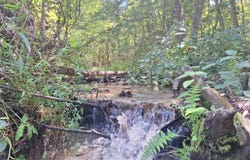 Y.C. Nichols Rd, Lowndesboro, AL 36752