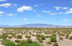 Rio Grande Estates lot: 7 & 8, NM 87062
