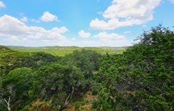 918 Terrace Mountain DR, West Lake Hills, TX 78746