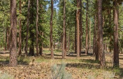 0 Blue Wing Street, Keno, OR 97627