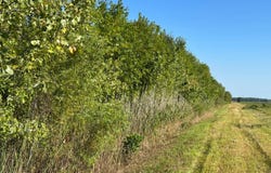 1 Highway 15, Fairfield, IL 62837