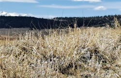 205 Clear Creek Court, Hartsel, CO 80449
