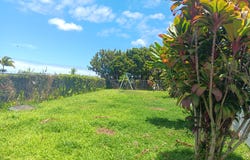 433 KAANINI ST, Hilo, HI 96720