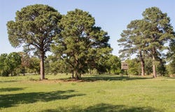 490 John Craft Road, Red Rock, TX 78662