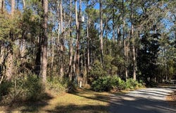 1106 Narbonne Place, Dauphin Island, AL 36528