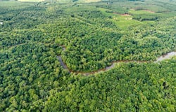 Apprx 218 Acres Old River, Statesboro, GA 30461