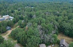 .5 Ac 19th Court, Arkdale, WI 54613