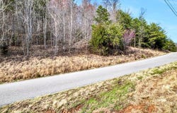 Lot 553 Whistle Valley Road, New Tazewell, TN 37825