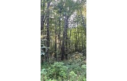 5565 Romeyn Woods, Middleville, MI 49333